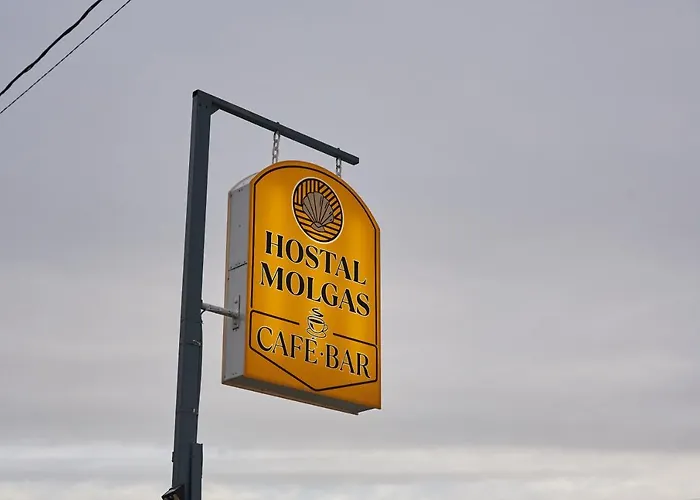 Molgas
